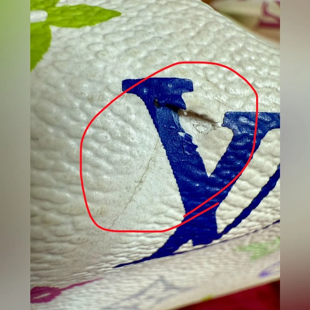 Louis Vuitton White Multicolor Monogram Handbag with Callouts